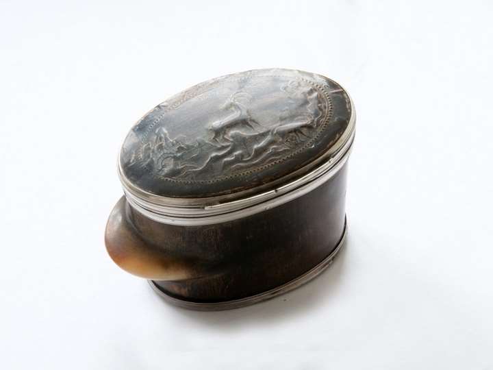 Salzburg Ibex Horn Box with Silver Mounting